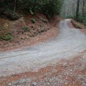 Darnell Creek Road