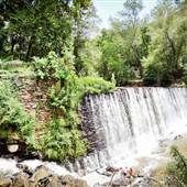 Old Mill Park
