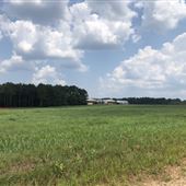 LoveJoy Closed Chicken Farm