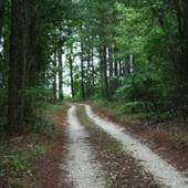 McDuffie Ponds