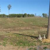 BURT FARMS