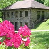 Georgia Mountain Research & Education Center
