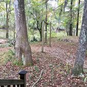 Frye Landing on Ogeechee River in Midville (EXT ONLY)
