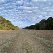Rust Airfield- 75 Acre property with airstrip, woods and old hanger