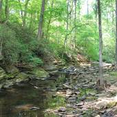Waller Park