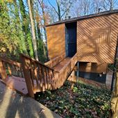 The Treehouse