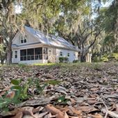 Remote Coastal Tidal Marsh and Forest Cabin
