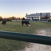 Old Federal Road Farm