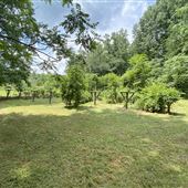 Vineyard, 40 acres, waterfall