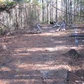 Johnson/Ginyard 26.73 Acres
