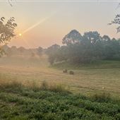 Mullins Farm with 40 acres of rolling, pastures