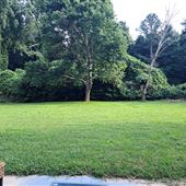 South Fulton Backyard