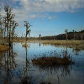 Ray's Mill Pond