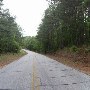 Palmetto Road