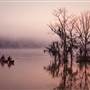 Altamaha River