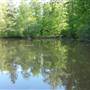 Hammock Lake