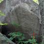 Forested Boulder Field in Chatt Hills, GA