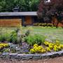 Newly-Renovated Contemporary Ranch in Sherwood Forest