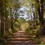 City of Austell Parks