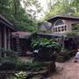the compound
