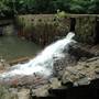 Alcovy Grist Mill and Dam