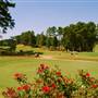 Cobblestone Golf Course
