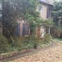 Overgrown Suburban House
