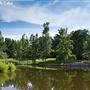 Lenora Park and Pool