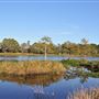 Lake Lindsay Grace