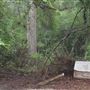 10 Acres Wooded in Stockbridge (Rockdale County side)