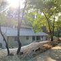 Old Fancy Rustic MCM 70s House In Forest