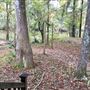 Frye Landing on Ogeechee River in Midville (EXT ONLY)
