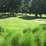 Lane Creek golf club