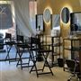 Fragile Crown Salon