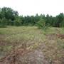 66 Acres south of Senoia, GA