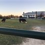 Old Federal Road Farm