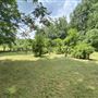 Vineyard, 40 acres, waterfall