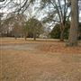 Historic Dinglewood Neighborhood
