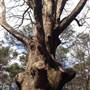 Connally Nature Preserve