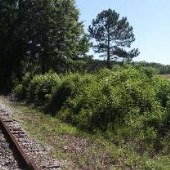 1883 Alcovy Mountain Road
