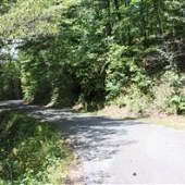 Rabun Forest Roads