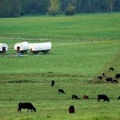 The Rock Ranch