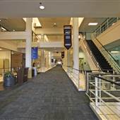 Emory University Athletics