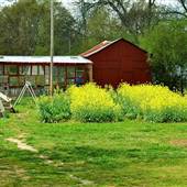 Metro Atlanta Urban Farm