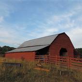 Wayne Bennett Farm