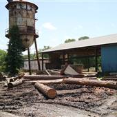 Champion's Lumber Mill