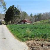 Glover Family Organic Farms