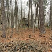 FLOWERY BRANCH, HALL COUNTY GA