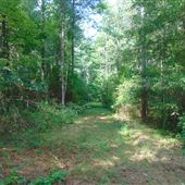 Wright Property