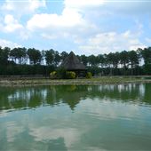 Dellinger Park